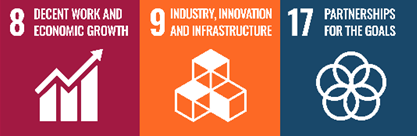 SDG 8,9,17