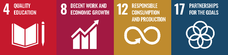 SDG 4,8,12,17